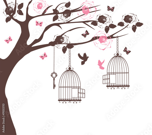 Bird Cage