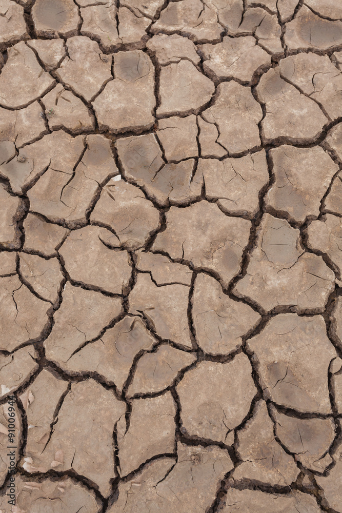 Close-up of dry soil cracked texture or background
