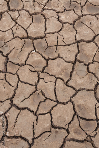 Obraz na płótnie Close-up of dry soil cracked texture or background w salonie