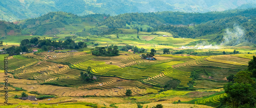 Rice fields on terraced in Sapa, Lao cai, Vietnam. 