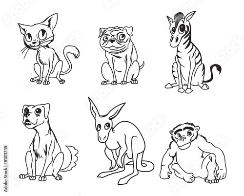 Animal collection