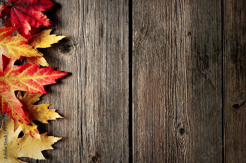 Autumn maple leaves over wooden background