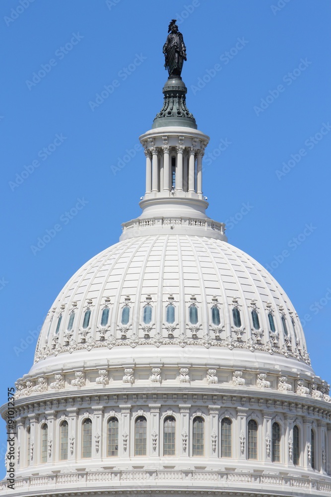 Obraz premium US Capitol