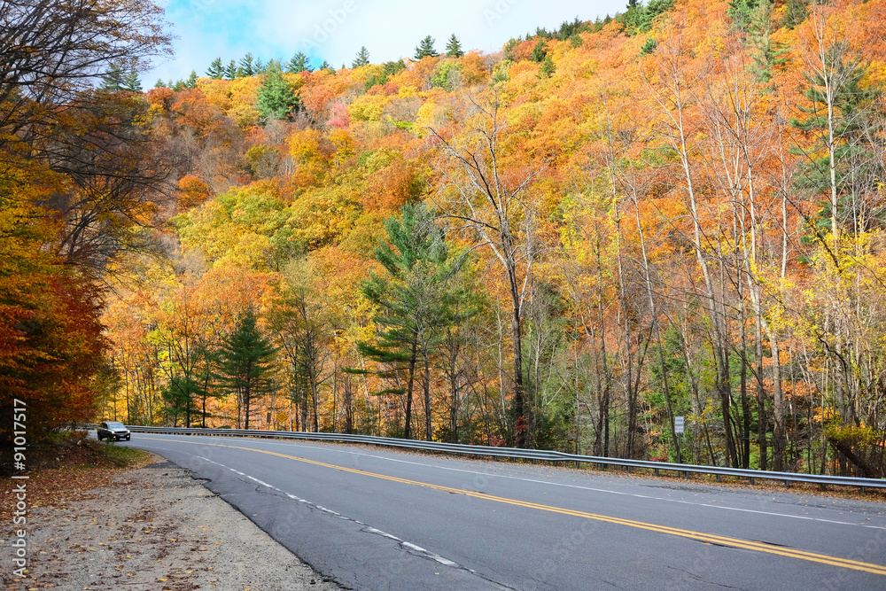 Obraz premium Autumn scene with road