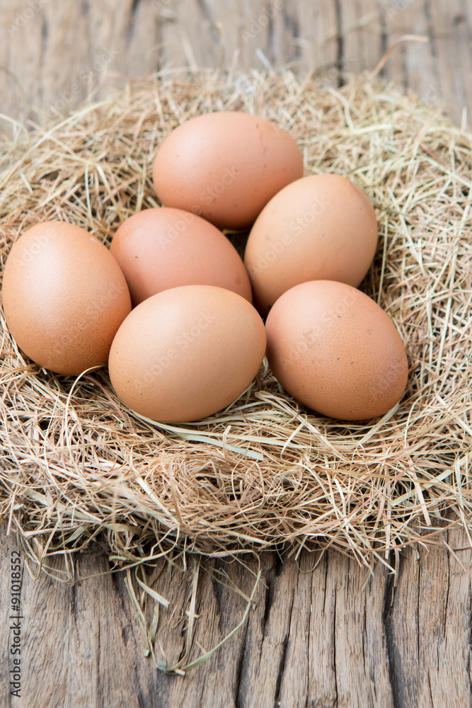 eggs on net eggs on net