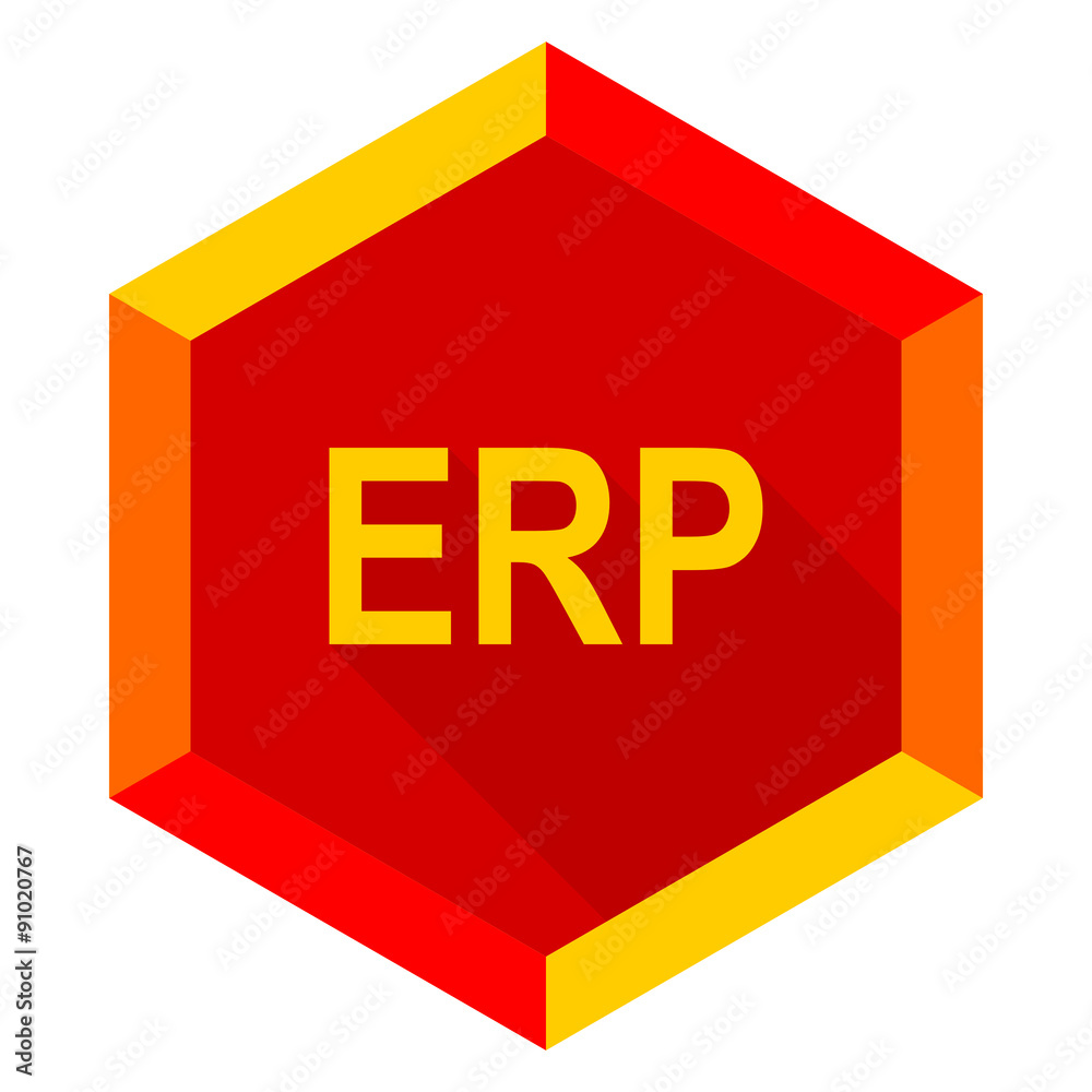 erp flat design modern icon