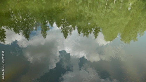 Trees and sky reflection in calm forest pond 4k.