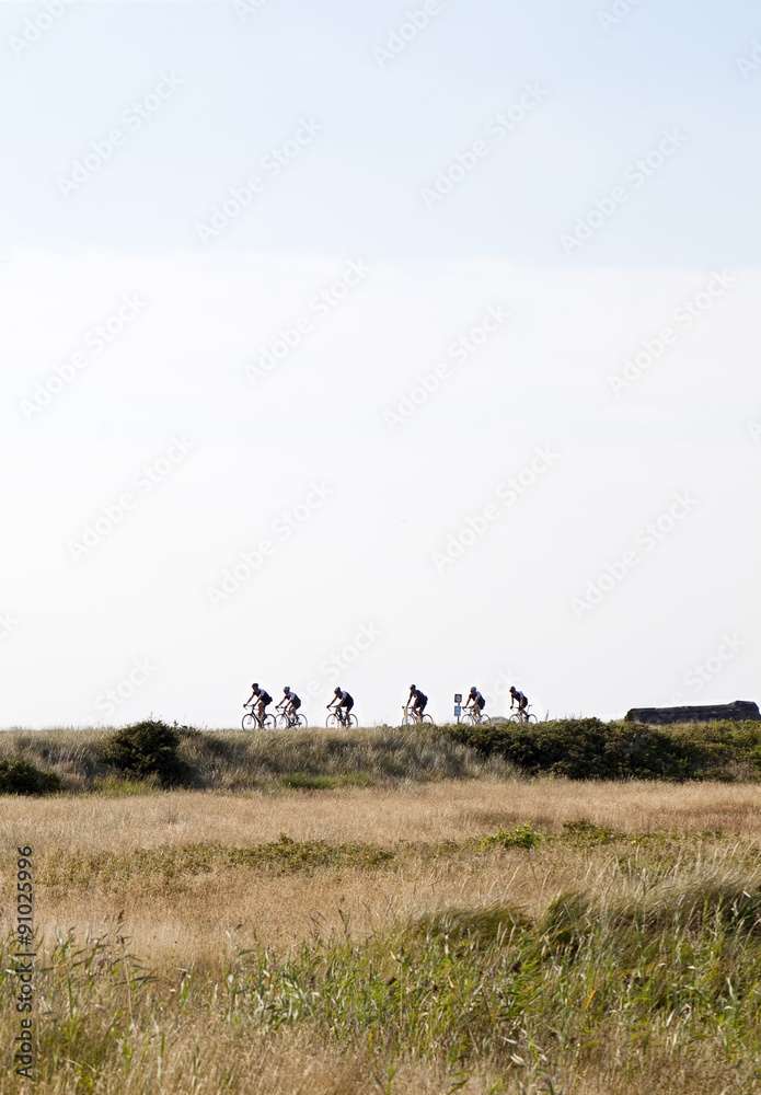 Naklejka premium Cyclists. A distant shot of a group of cyclist cycling by. They are seen across a golden field of wild grass, the sky is blue behind them and they are being backlit by the summer sun.