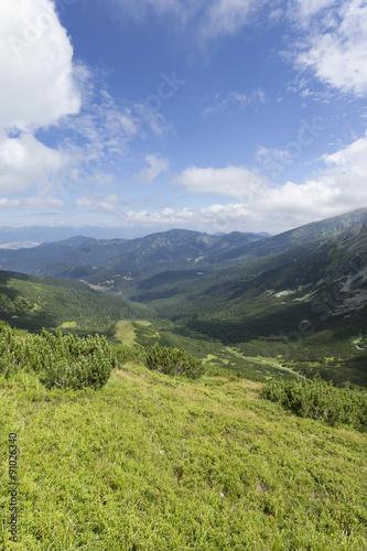 View on the summer Slovakia Mountains Low Tatras