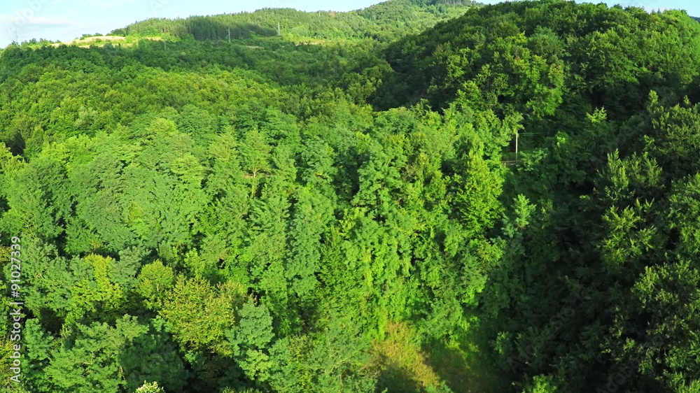 AERIAL view. Flight over forest in mountains AERIAL view. Flight over forest in mountains
