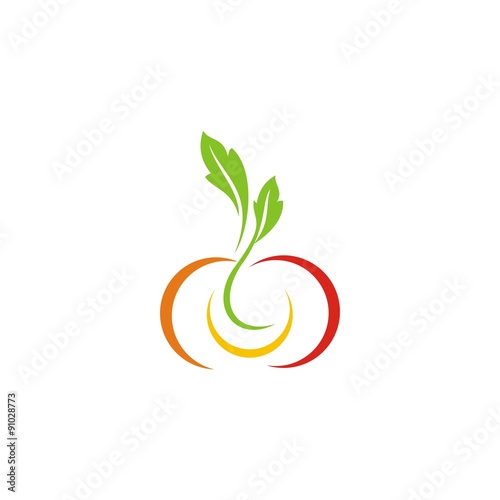 VEGETABLE