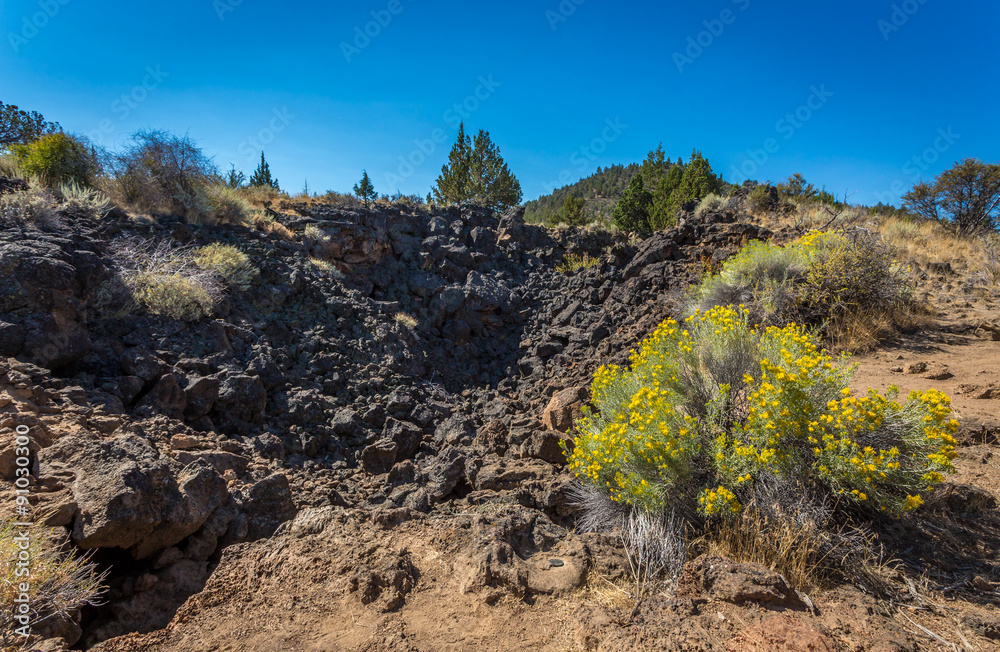Lava beds and lava flow area