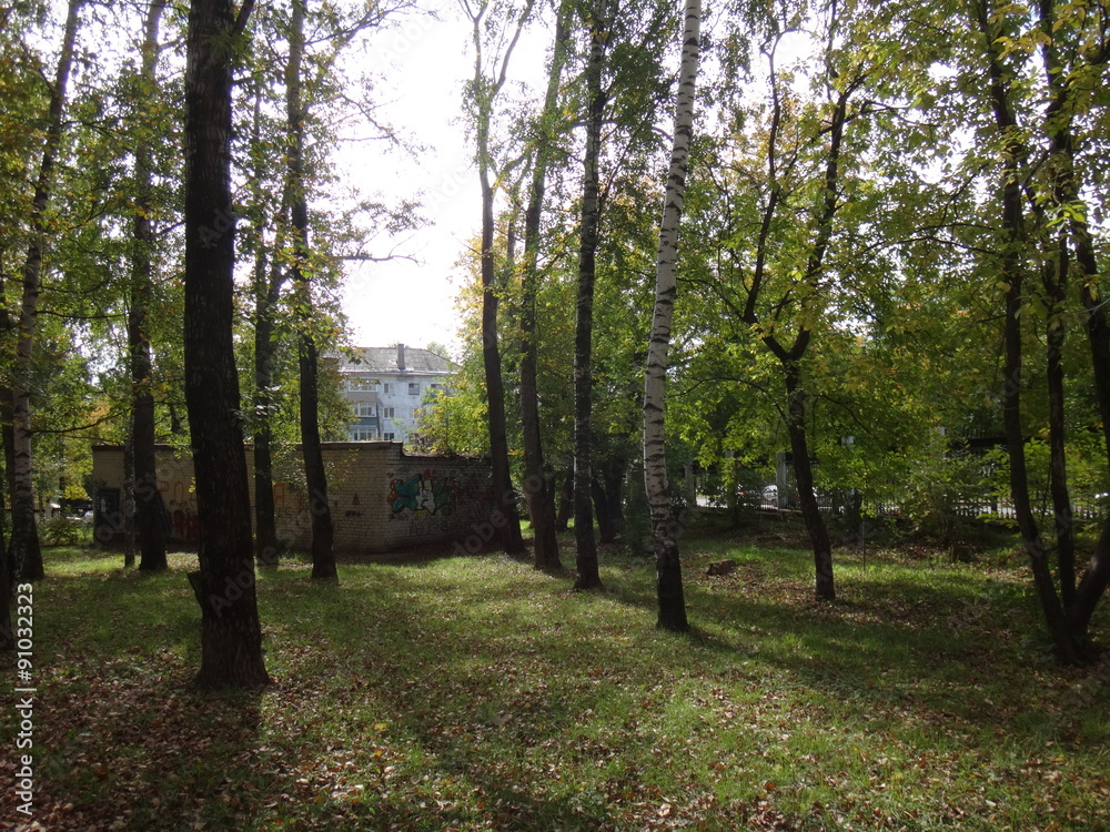 Fototapeta premium Городской парк с деревьями в осенний солнечный день