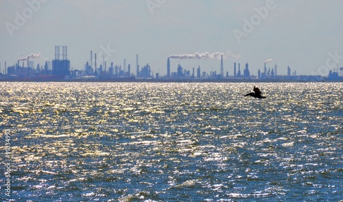 Photography Oil refinery, view from ocean bay with silhouette of a pelican