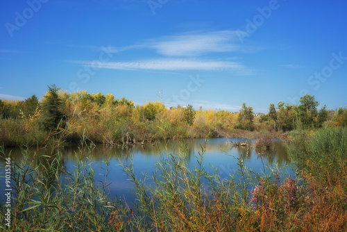 Autumn landscape of a pond, Prince's Island Park, Calgary, Alberta.