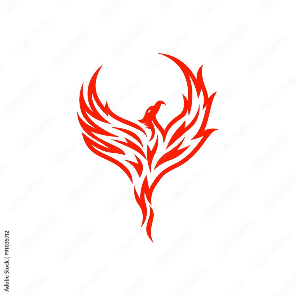 Phoenix Vector Template Stock Vector | Adobe Stock