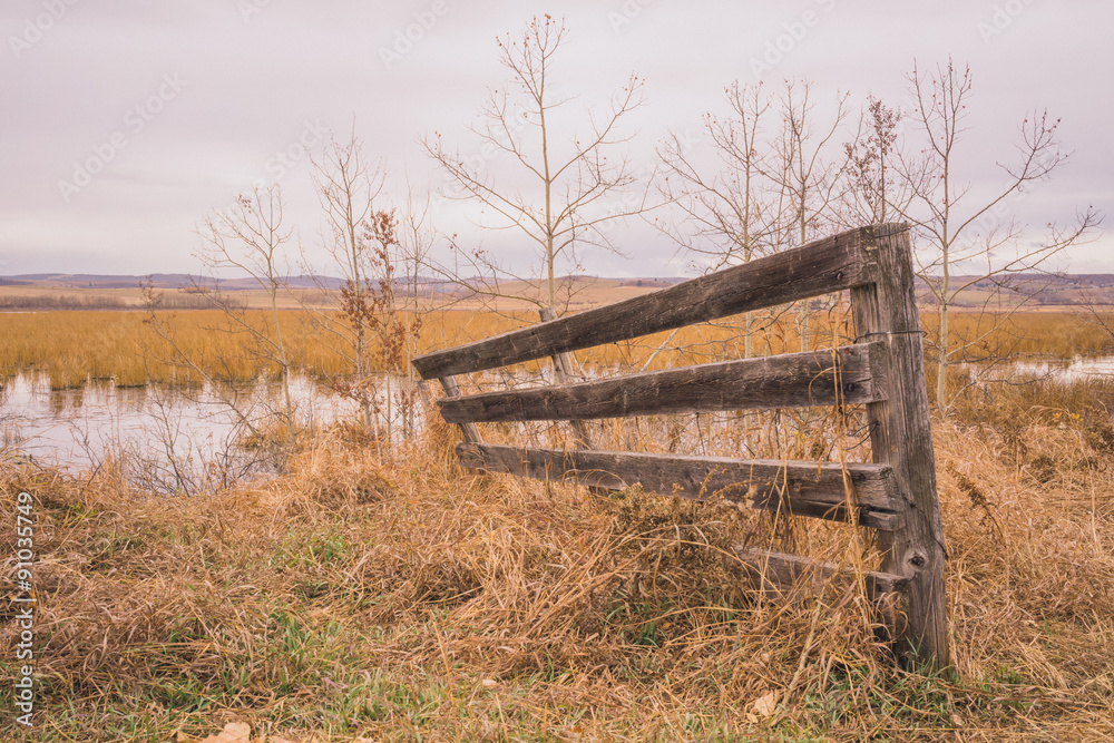 Autumn landscape of a broken down fence.