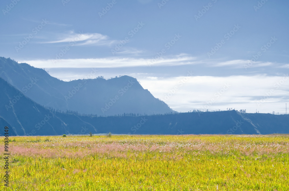 Fototapeta premium Grassland at Bromo Tengger Semeru National Park in East Java, Indonesia.