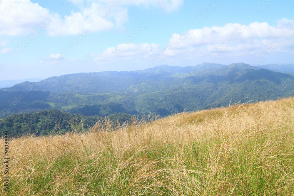 view from high mountain