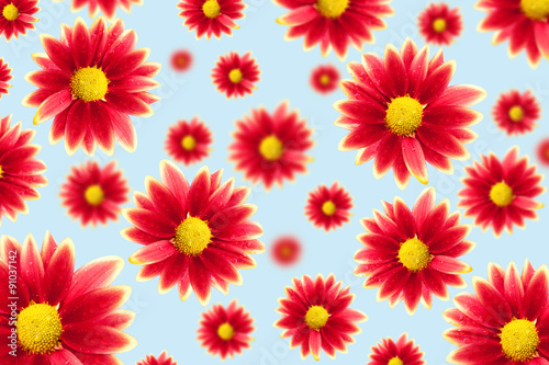flower pattern  background