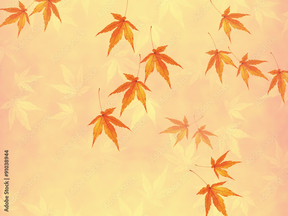 custom made wallpaper toronto digital秋　イメージ　紅葉