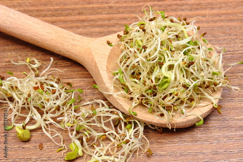 Alfalfa and radish sprouts on scoop, wooden background