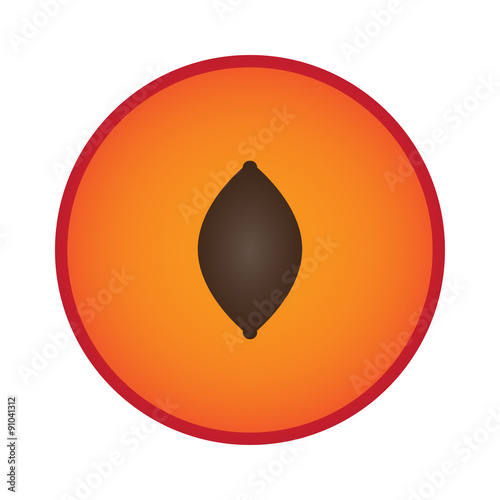 plum sliced in half