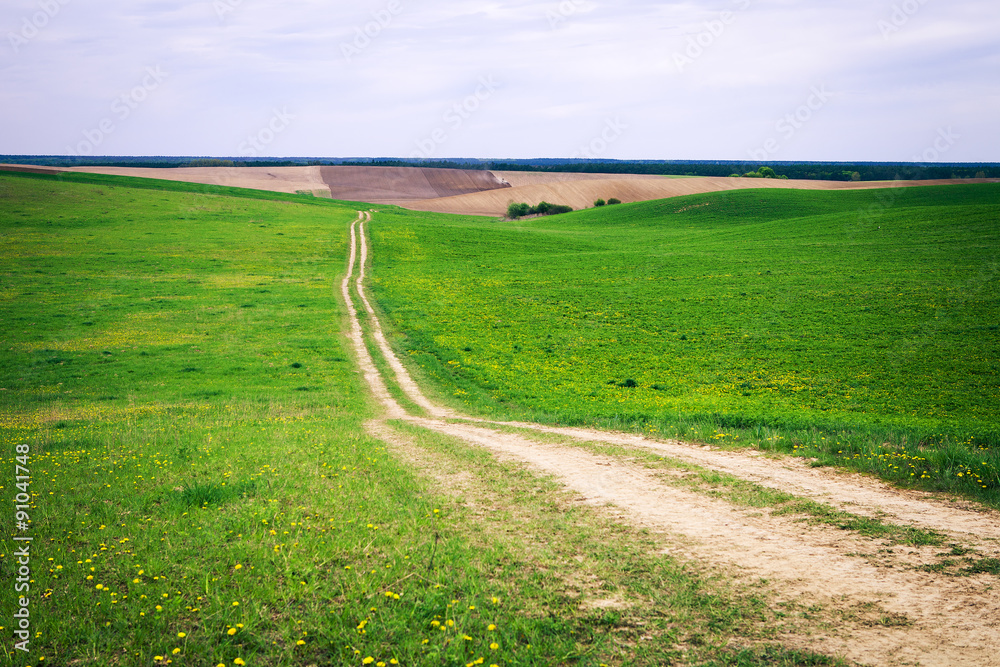 Obraz premium Green Field