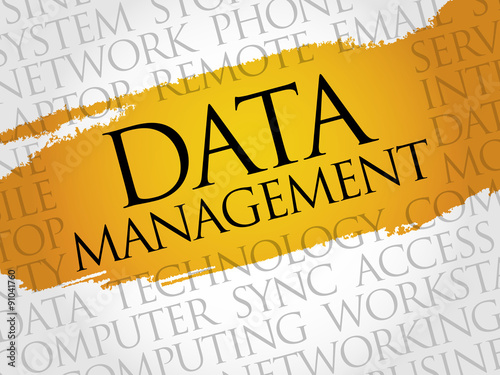 Data Management word cloud concept