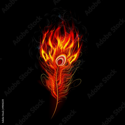 Fire burning peacock feather with black background