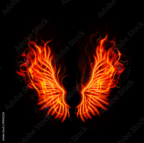 Fire burning wings 