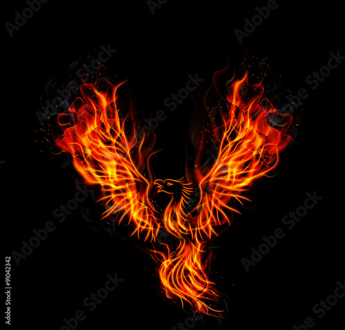 Fire burning Phoenix Bird with black background