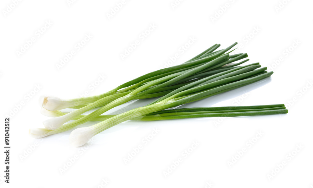 whole green spring onion on white background whole green spring onion on white background