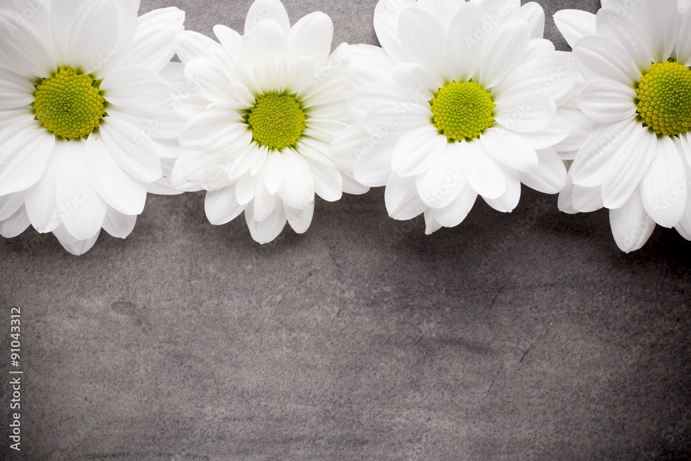 Obraz premium White flowers.