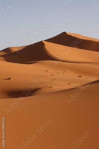 Maroc  Sahara  dunes de sable