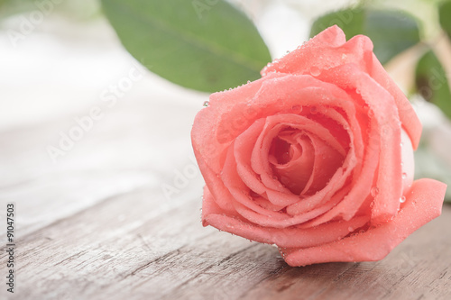 Pink Rose on wooden table