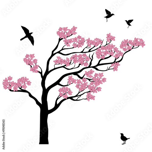 Silhoutte of sakura tree with birds