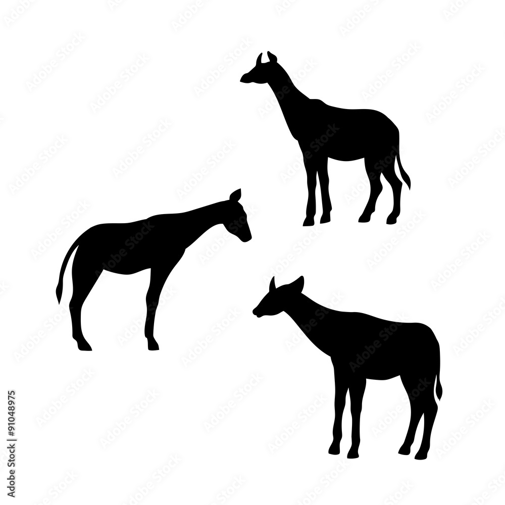 Okapi vector silhouettes. Okapi vector silhouettes.