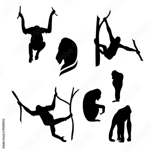  Orangutan monkey vector silhouettes.