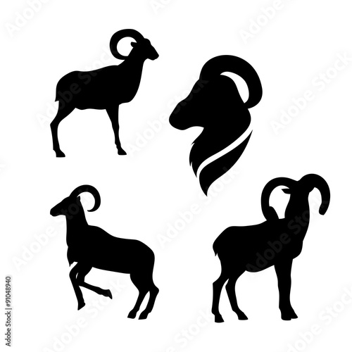 Moufflon vector silhouettes. photo