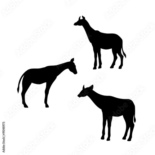 Bild auf Leinwand Okapi vector silhouettes.