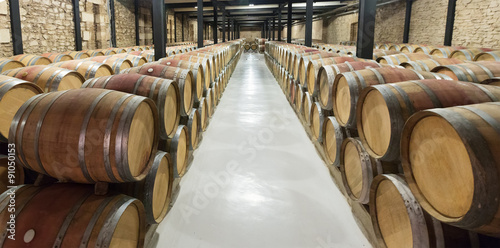 wooden barrels in winery factory