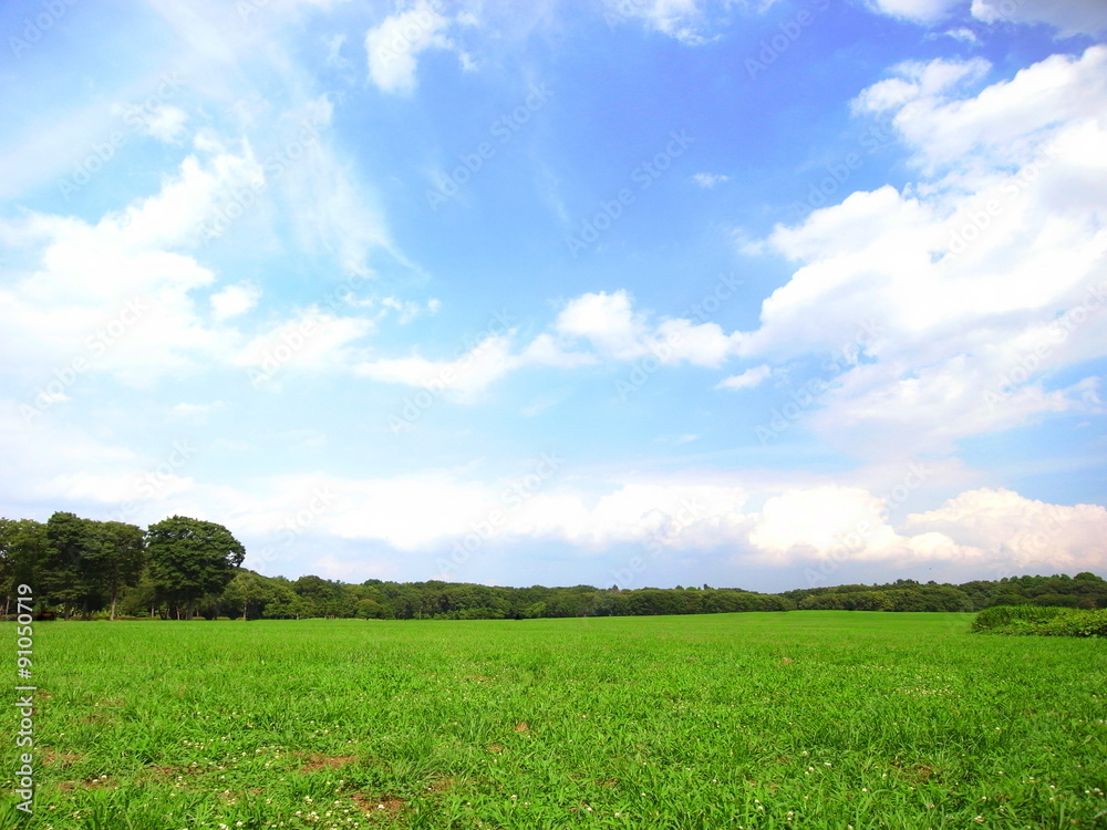 夏の草原と夏空