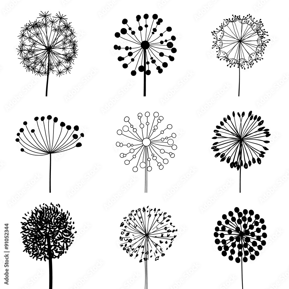 Fototapeta premium Zestaw Dandalionów