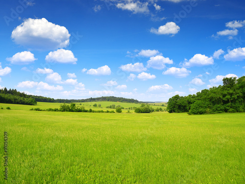 Summer landscape with blue sky with clouds in Czech Republic