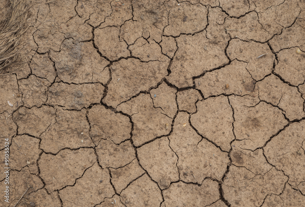 dry cracked earth background dry cracked earth background