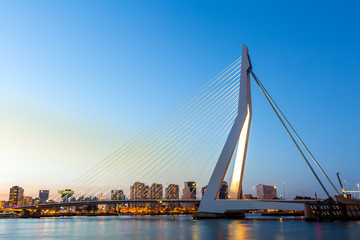 Fototapete Rotterdam Erasmusbrücke Rotterdam am Wasser  © vichie81