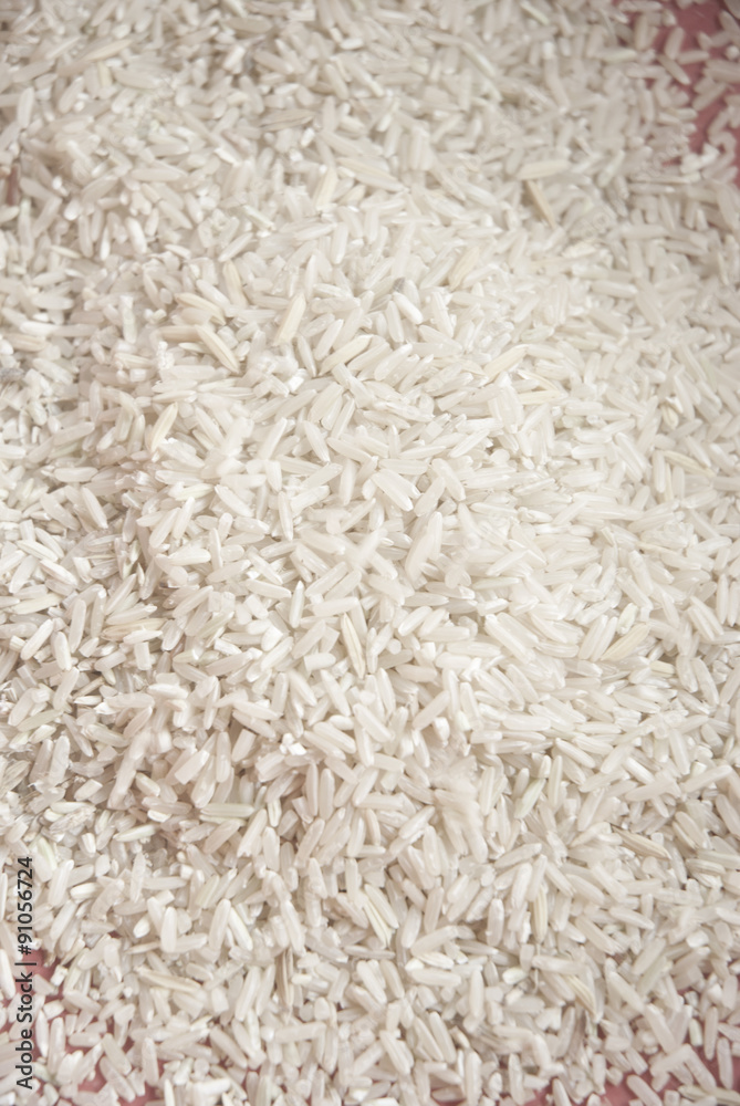 rice rice