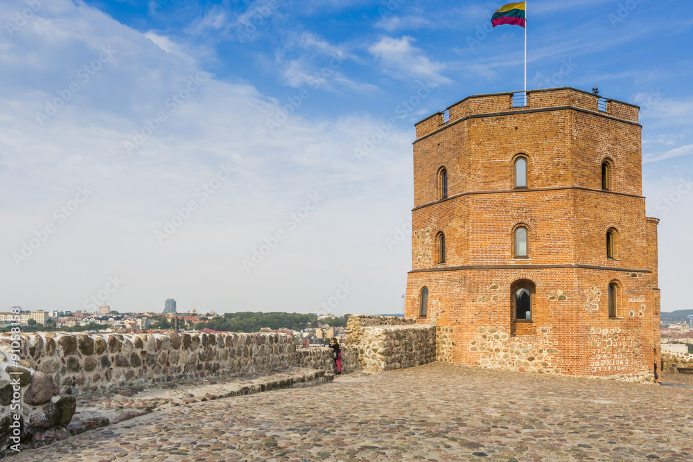 Vilnius, Lithuania. Vilnius city view. Vilnius, Tower of Gedimin