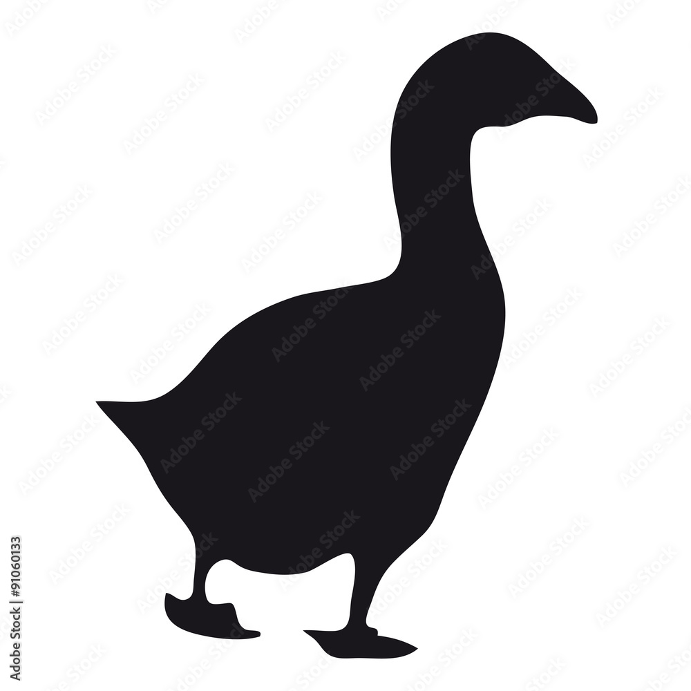 Obraz premium Silhouette goose